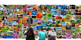 Southern Utah Events Guide southern utah events guide CoverJan042018