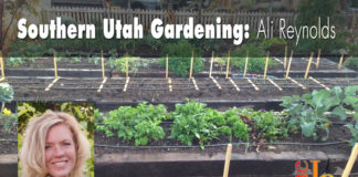 Southern Utah Gardening: Planning an organic vegetable garden Southern Utah Gardening: Planning an organic vegetable garden