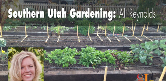Southern Utah Gardening: Planning an organic vegetable garden