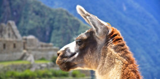 SUU faculty lead expedition to Peru SUU faculty lead expedition to Peru