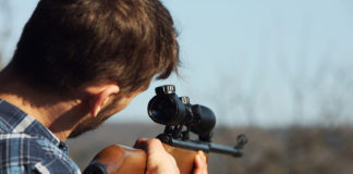 Locals donate to increase reward for information about pregnant-elk poacher in Zion National Park Locals donate to increase reward for information about pregnant elk poacher in Zion National Park