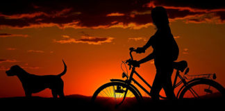 Healthy Dixie Council and Southern Utah Bicycle Alliance offer grants to Bicycle Collective Healthy Dixie Council and Southern Utah Bicycle Alliance offer grants to Bicycle Collective