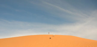 An open letter from Kane County Commission candidate Lara Clayson An open letter from Kane County Commission Candidate John Casperson