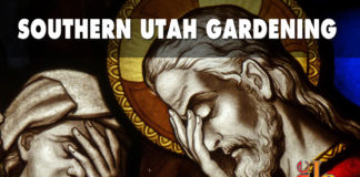 Southern Utah Gardening: How to grow grass in the middle of the desert, for some reason Southern Utah Gardening: How to grow grass in the middle of the desert, for some reason