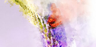 The Dixie Watercolor Society hosts art show, competition The Dixie Watercolor Society hosts art show, competition