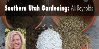 Southern Utah Gardening: Choosing soil amendments Southern Utah Gardening: Choosing soil amendments
