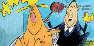 Cartoon: “Collusion With Duckies” Cartoon: "Collusion With Duckies"