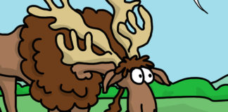 Cartoon: “Moose Gossip” Cartoon: "Moose Gossip" By Paul Snover, Skroder Comics