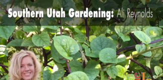 Southern Utah Gardening: Growing savory spinach