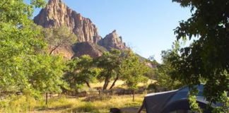 South Campground at Zion National Park now accessible by online reservation only Zion National Park’s South Campground now accessible by online reservation only