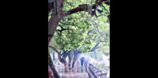 Southern Utah Art Guild announces winners of “Spring Fling” show Southern Utah Art Guild announces winners of “Spring Fling” show