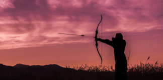 $2,000 offered for the arrest and conviction of poacher of pregnant elk in Zion National Park $2,000 offered for the arrest and conviction of poacher of pregnant elk in Zion National Park