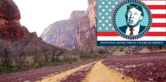 State Route 9, aka The Donald J. Trump National Park Highway? Email your Utah legislators today to save State Route 9 (SR-9) from Rep. Mike Noel's H.B. 481 Donald J. Trump Utah National Parks Highway Designation.