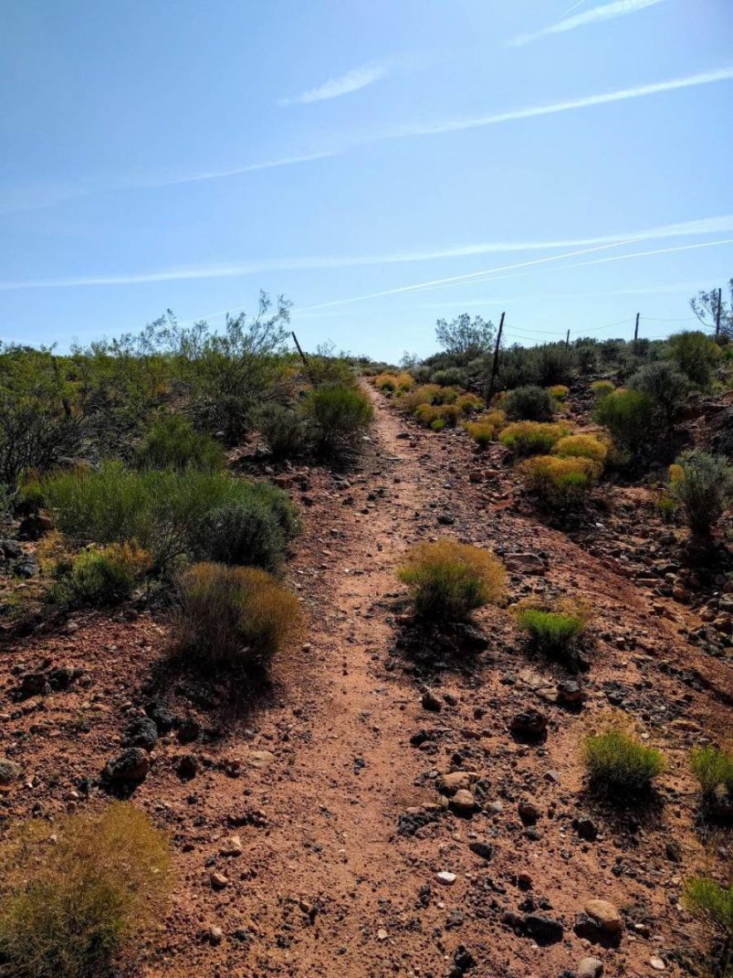 Hiking Southern Utah: East Reef - The Independent | News Events Opinion ...