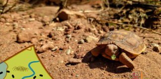 Hiking Southern Utah: East Reef Hiking Southern Utah: East Reef