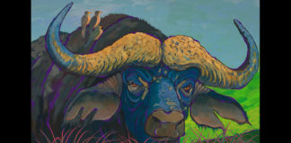 Arrowhead Gallery features Ken Church and Hazel Janet White in May Arrowhead Gallery features Ken Church and Hazel Janet White in May