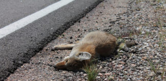 Rep. Stewart introduces H.R. 5597, legislation for Washington County Northern Corridor Rep. Stewart introduces H.R. 5597, legislation for Washington County Northern Corridor