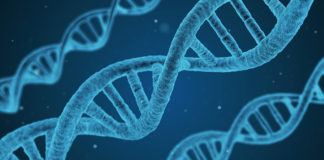 Intermountain Precision Genomics announces PRECISE Study Researchers at Intermountain Precision Genomics, a service of Intermountain Healthcare, announced a the PRECISE study to help unlock genomic data.