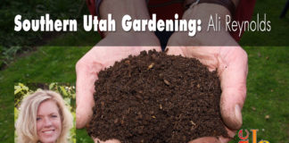 Southern Utah Gardening: Backyard composting Southern Utah Gardening: The benefits of backyard composting are innumerable, and no garden should be grown without compost!