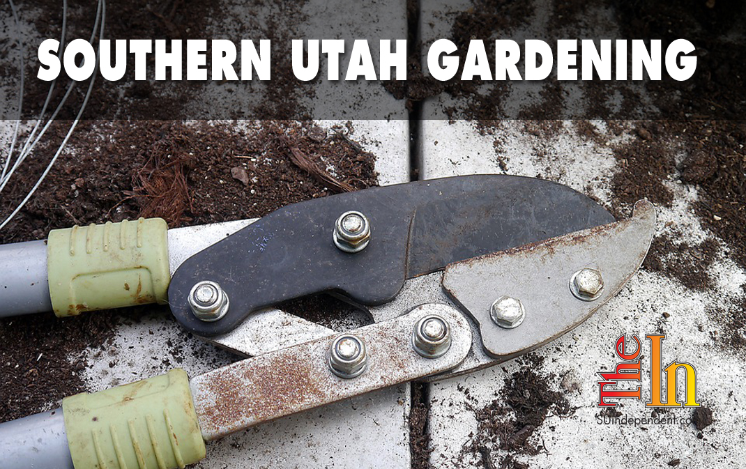 Southern Utah Gardening: Spring pruning