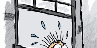 Cartoon: “Schneiderman” Cartoon: "Schneiderman"