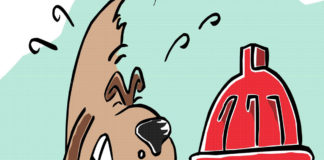 Cartoon: Pay to pee Cartoon: Pay to pee