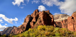 Visitor to Zion National Park cited for graffiti Visitor to Zion National Park cited for graffiti