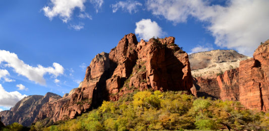 Visitor to Zion National Park cited for graffiti