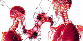 Five ways a healthy gut makes a healthy brain Five ways a healthy gut makes a healthy brain