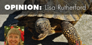 A Democrat in a sea of red fighting for public lands Paul Van Dam testified in a May 22 Federal Lands Subcommittee hearing against H.R. 5597, that would force a highway through the protected areas.