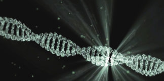 Intermountain Precision Genomics expands DNA-based testing with RxMatch Intermountain Precision Genomics expands DNA-based testing with RxMatch