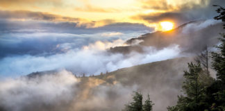 Interior and National Park Service announce more than $60 million in historic preservation grants to states and tribes The Department of the Interior and the National Park Service announced historic preservation grants for U.S. states, territories, and partnering nations.