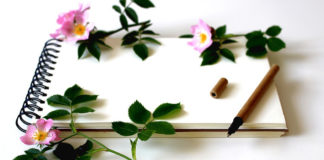 Author James McVey gives presentation on nature writing in Springdale Author James McVey gives presentation on nature writing in Springdale