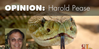 Avoid politicians who advocate democracy Avoid politicians who advocate democracy