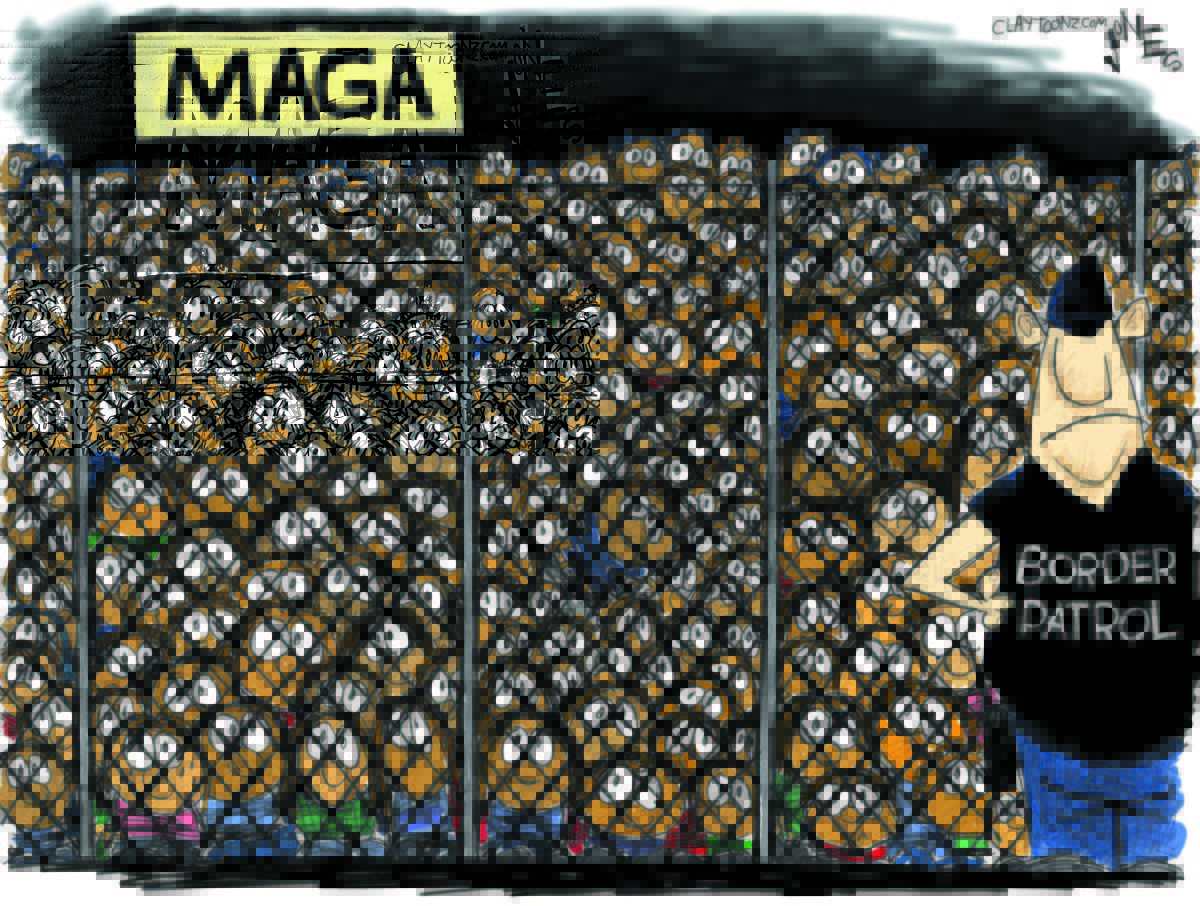 Cartoon: "This Is MAGA"