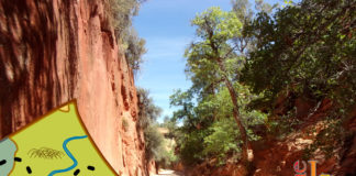 Hiking Southern Utah: Elkhart Cliffs Canyon Hiking Southern Utah: Elkhart Cliffs Canyon