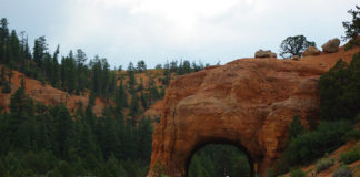 The Bryce Canyon Half Marathon celebrates its 15th anniversary The Bryce Canyon Half Marathon celebrates its 15th anniversary