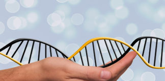 Intermountain Healthcare brings awareness of precision medicine to the public through clinical implementation Intermountain Healthcare brings awareness of precision medicine to the public through clinical implementation