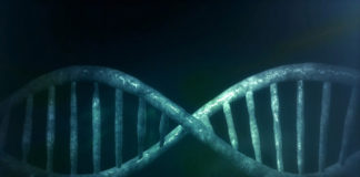 Intermountain Precision Genomics accepting DNA sequencing project proposals with matching funds up to $100,000 Intermountain Precision Genomics accepting DNA sequencing project proposals with matching funds up to $100,000