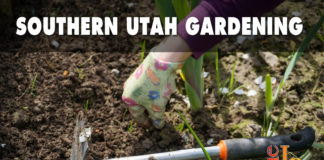 Southern Utah Gardening: Think visual impact when readying the yard for events Think visual impact when readying the yard for events