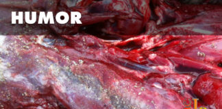 Donald Trump bursts Donald Trump bursts Stephen Philip Druce