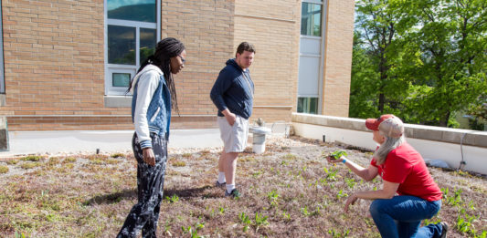 SUU incorporates green infrastructure through a green roof atop the L.S. & Aline W. Skaggs Center for Health & Molecular Sciences.