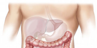 Intermountain Healthcare: Economic burden of fatty liver disease in U.S. is $32 billion annually Intermountain Healthcare: Economic burden of fatty liver disease in U.S. is $32 billion annually