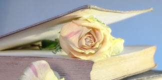 St. George resident Royanne Boyer publishes “Passion and Poison” St. George resident Royanne Boyer publishes “Passion and Poison”