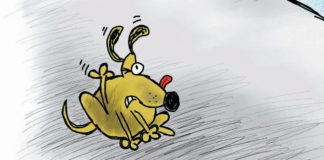 Parade Gets A Deferment Parade Gets A Deferment