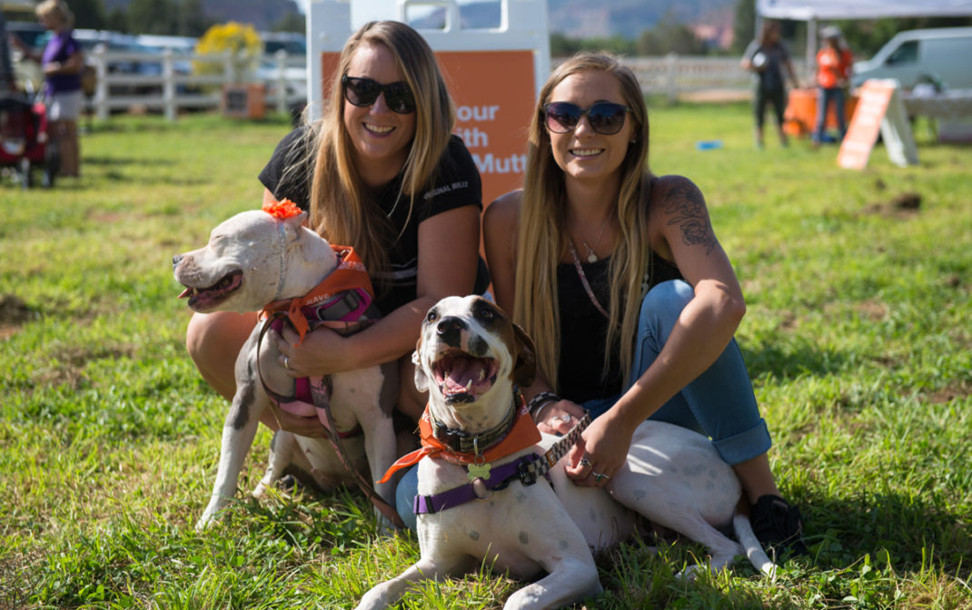 Strut Your Mutt returns to Best Friends Animal Sanctuary in Kanab - The ...