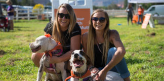 Strut Your Mutt returns to Best Friends Animal Sanctuary in Kanab Best Friends Animal Sanctuary Strut Your Mutt returns to Kanab