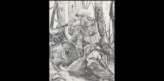 Art beyond combat: Vietnam veterans showcased in new exhibit Three artists who served in the Vietnam War bring their individual perspectives to an exhibition titled “Vietnam Veterans: Art Beyond Combat.”