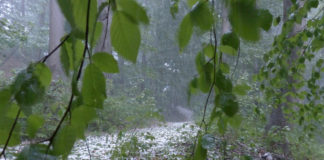 Hail, thunderstorms possible in Iron County Hail, thunderstorms possible in Iron County
