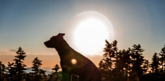 Five most Instagrammable spots in Cedar City Five most Instagrammable spots in Cedar City